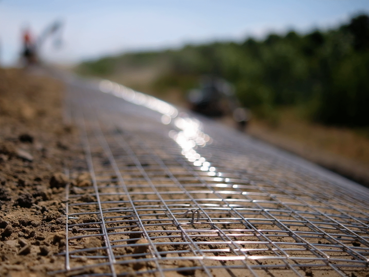 Beaver Fencing
