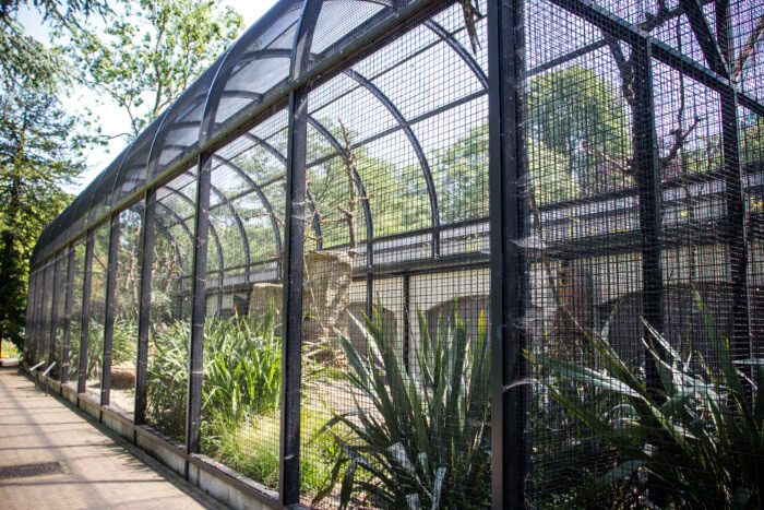 Fazanterie Natura Artis Magistra